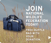 FREE duffle bag with your donation